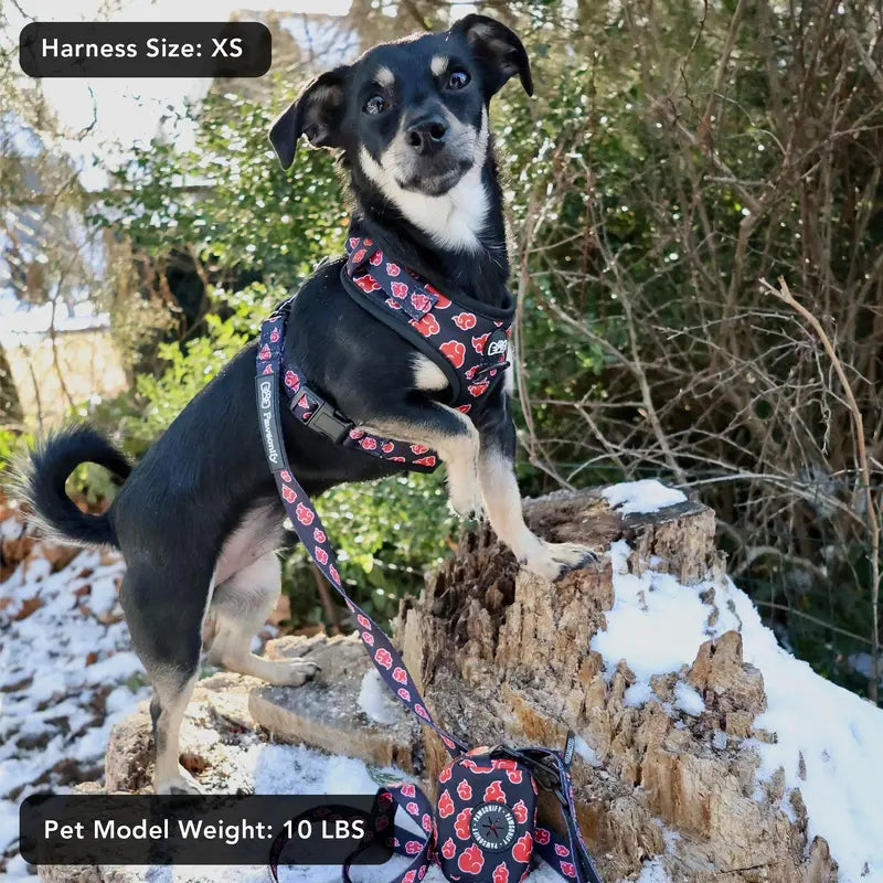 Akatsuki Dog Harness Bundle