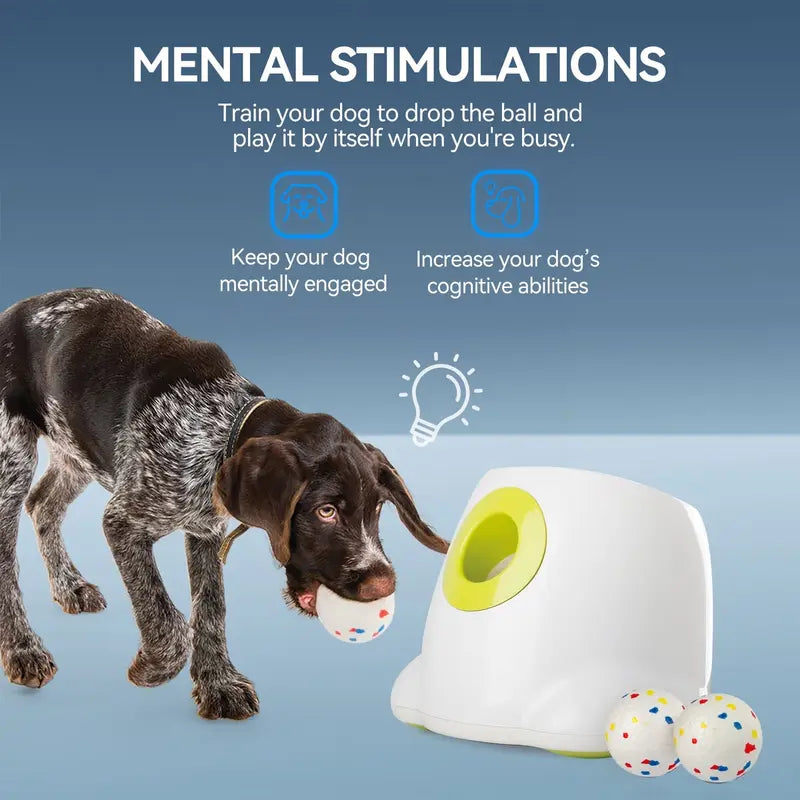 Allforpaws Maxi Rechargeable Battery Dog Ball Launcher - Automatic Interactive Training & Mental Stimulation Companion Toy, Outdoor Backyard Fun, 2.5-In ETPU Balls (6 Pack), Adjustable 3-Distance Throw Settings, 6.3 Lbs Pet Supply