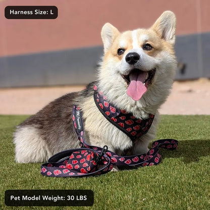 Akatsuki Dog Harness Bundle