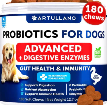 Probiotic Chews for Dog's Health