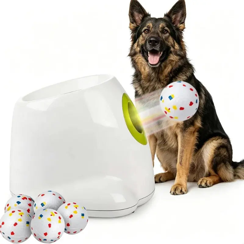 Allforpaws Maxi Rechargeable Battery Dog Ball Launcher - Automatic Interactive Training & Mental Stimulation Companion Toy, Outdoor Backyard Fun, 2.5-In ETPU Balls (6 Pack), Adjustable 3-Distance Throw Settings, 6.3 Lbs Pet Supply