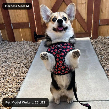 Akatsuki Dog Harness Bundle