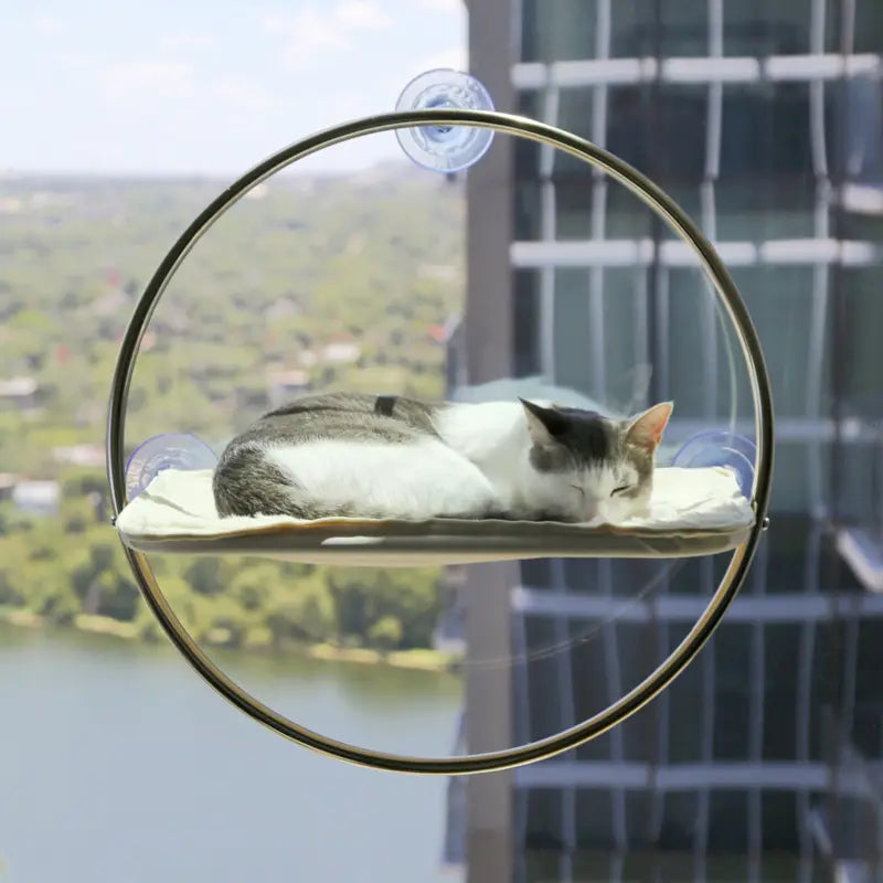Orbit Cat Hammock - Window Perch