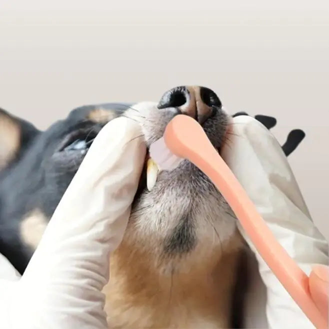 Dog and Cat Toothbrush for Oral Care Supplies - Quantity of 1