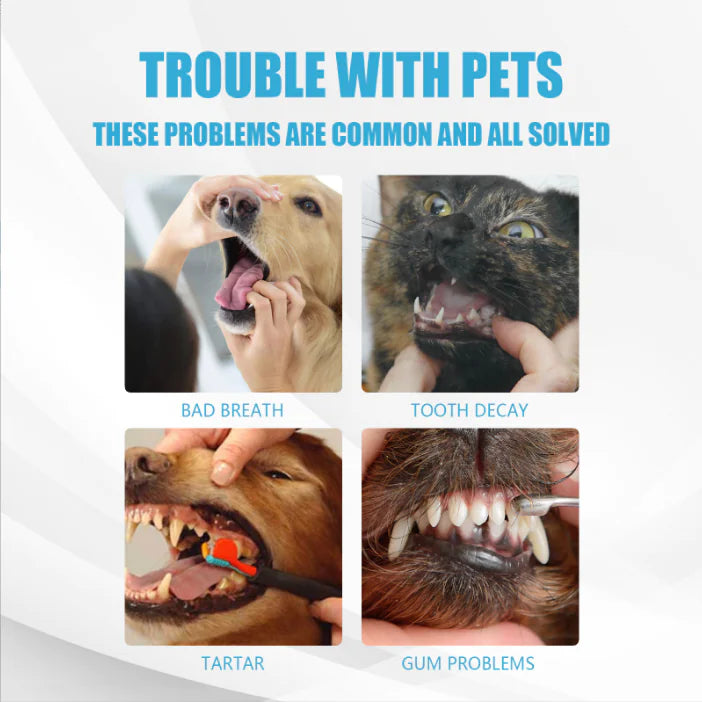 Edible Fresh Toothpaste for Cats and Dogs Oral Care