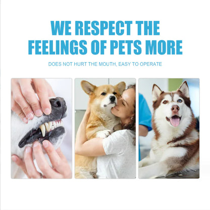 Edible Fresh Toothpaste for Cats and Dogs Oral Care